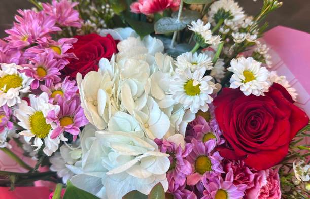 Close up shot of flowers