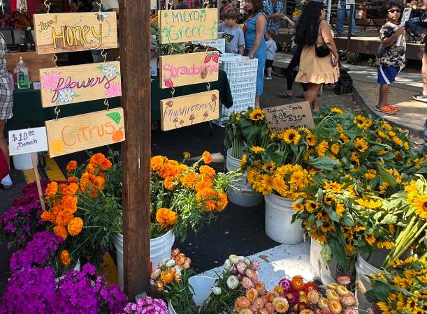 Sacramento Farmer's Market