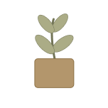 Small potted plant for player one