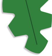 leaf on left