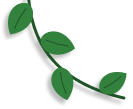 vine on left